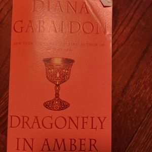 Dragonfly in Amber